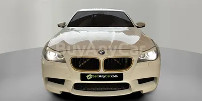 carsDetail