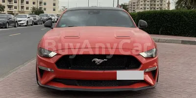 carsDetail