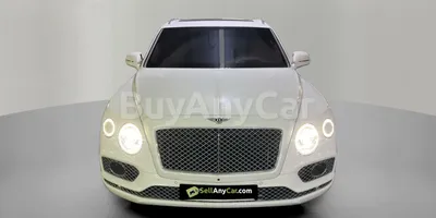 carsDetail