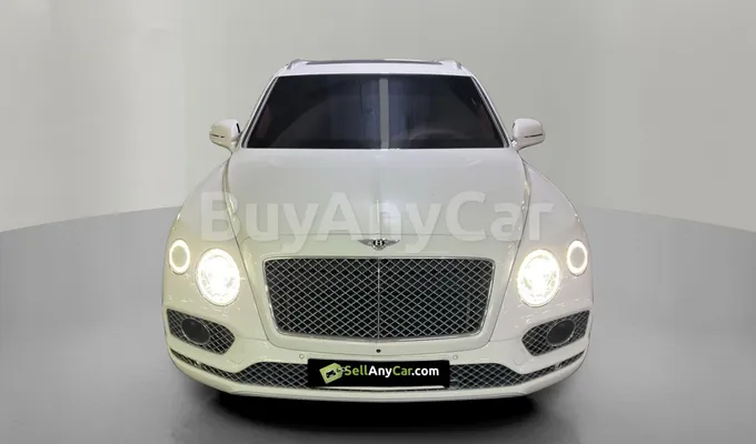 carsDetail