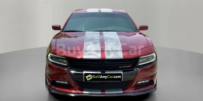 carsDetail