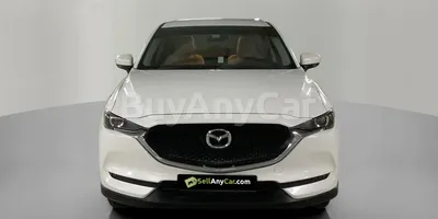 carsDetail