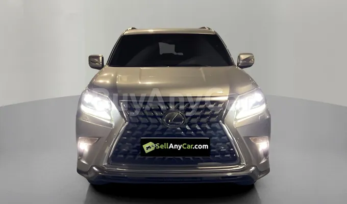 carsDetail