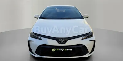 carsDetail