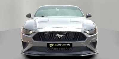 carsDetail