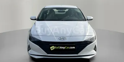 carsDetail