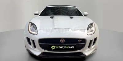 carsDetail