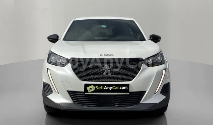 carsDetail