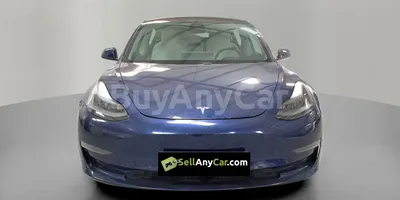 carsDetail