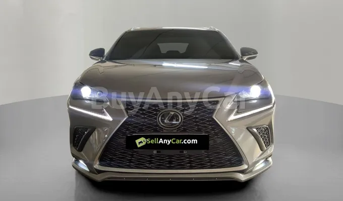 carsDetail