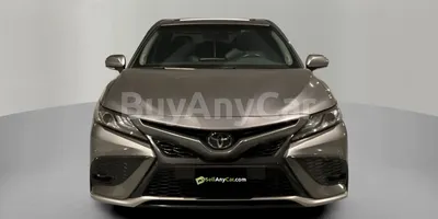 carsDetail