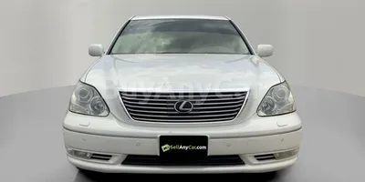 carsDetail