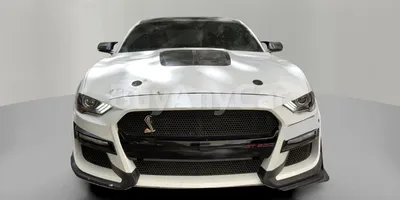 carsDetail