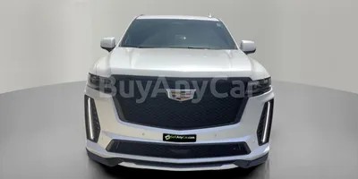 carsDetail