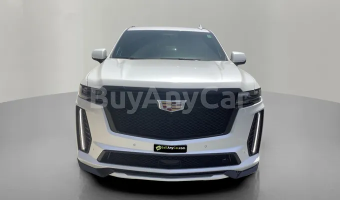 carsDetail