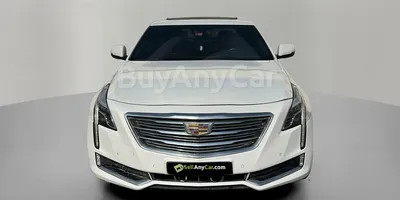 carsDetail