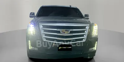 carsDetail