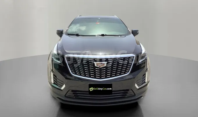 carsDetail