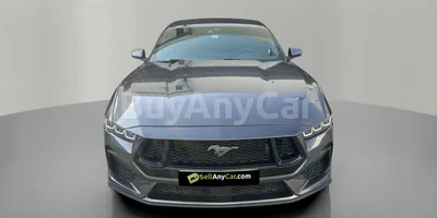 carsDetail