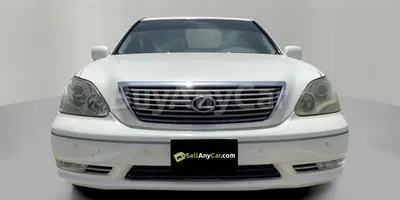 carsDetail