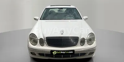 carsDetail