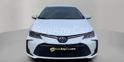 carsDetail