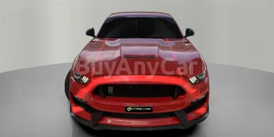 carsDetail