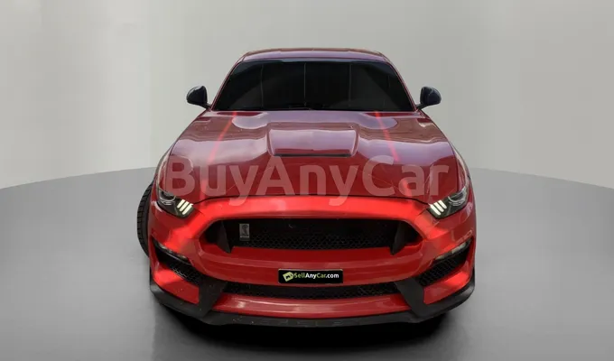 carsDetail