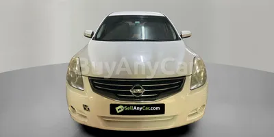 carsDetail