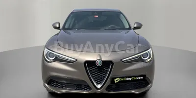 carsDetail