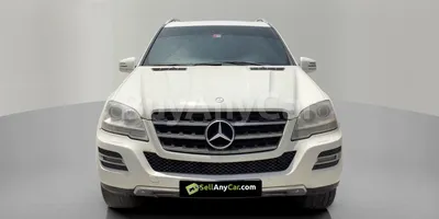 carsDetail
