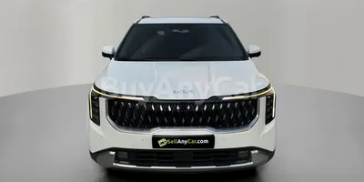 carsDetail