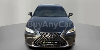 carsDetail