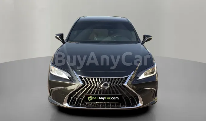 carsDetail