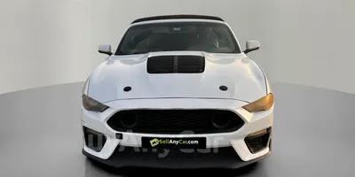 carsDetail