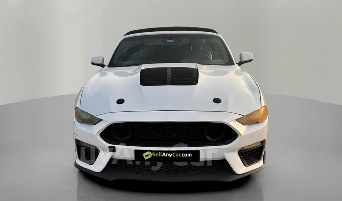 carsDetail