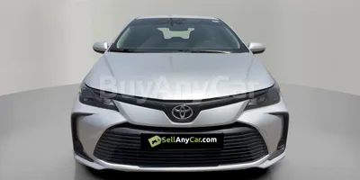 carsDetail