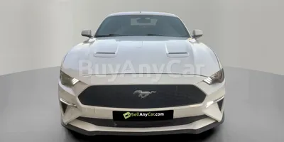 carsDetail