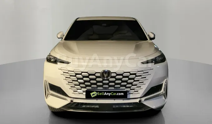 carsDetail