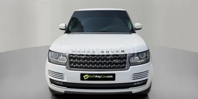 carsDetail
