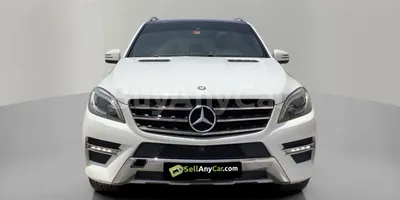 carsDetail