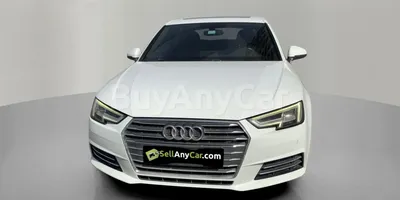 carsDetail