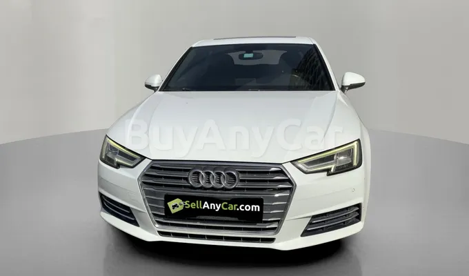 carsDetail