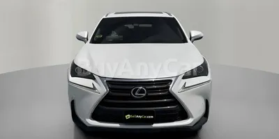 carsDetail