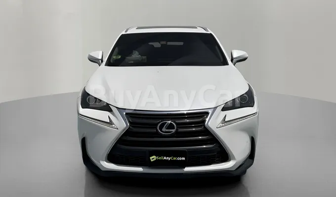 carsDetail