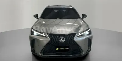 carsDetail