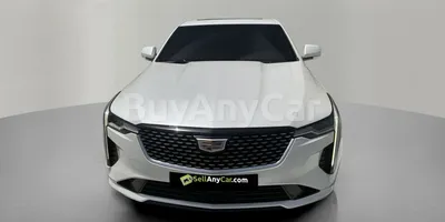 carsDetail