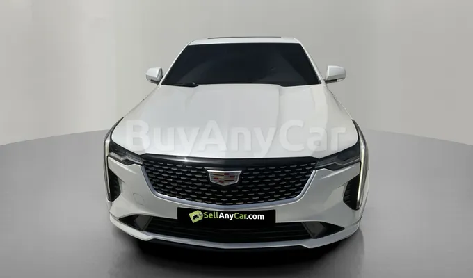 carsDetail