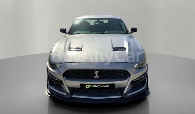 carsDetail