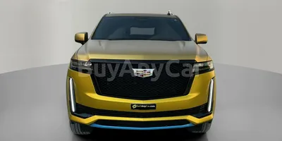 carsDetail
